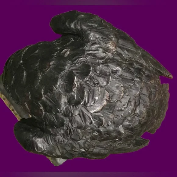 2005 Vintage Edgar Allen Poe “NEVERMORE” Raven & Skull Gothic Sculpture.